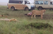 Jossec Tours and Safaris3