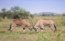 Jossec Tours and Safaris3