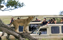 Jossec Tours and Safaris1