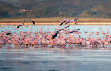 Jossec Tours and Safaris4