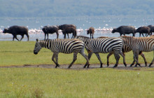 Jossec Tours and Safaris4