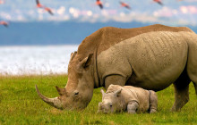 Jossec Tours and Safaris7