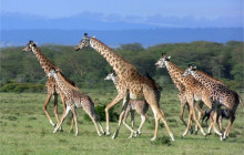 Jossec Tours and Safaris5