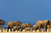 Jossec Tours and Safaris3
