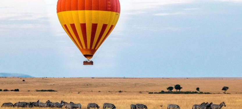6 Days Maasai Mara, Lake Nakuru, & Amboseli Safari from Nairobi
