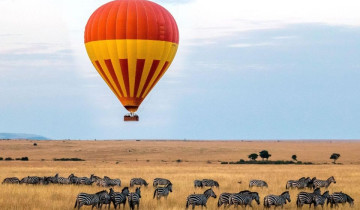 A picture of 6 Days Maasai Mara, Lake Nakuru, & Amboseli Safari from Nairobi