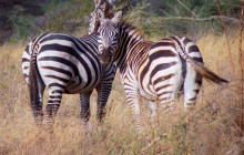 Jossec Tours and Safaris1