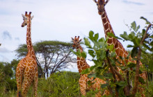 Jossec Tours and Safaris3