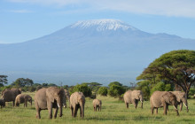 Jossec Tours and Safaris5