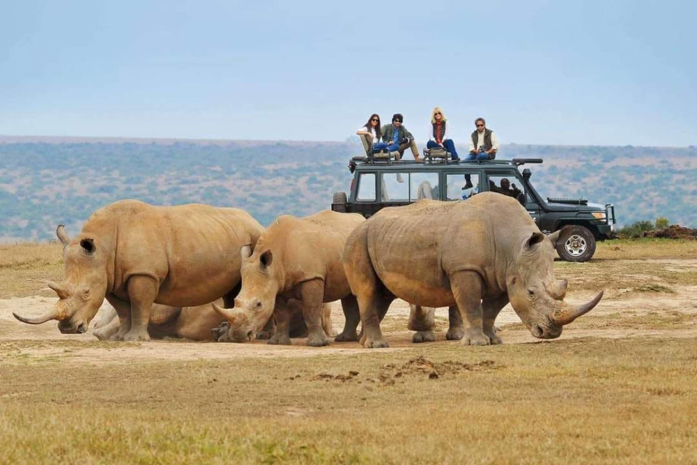 Jossec Tours and Safaris