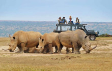 Jossec Tours and Safaris7