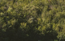 NOVA Alaska Guides6