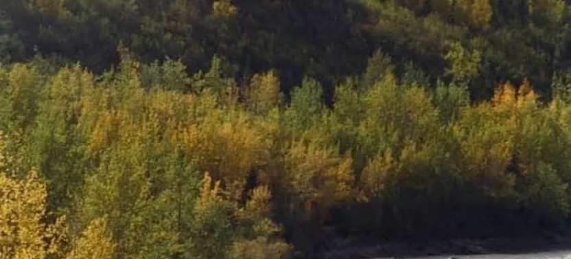 Private Matanuska River Scenic Float