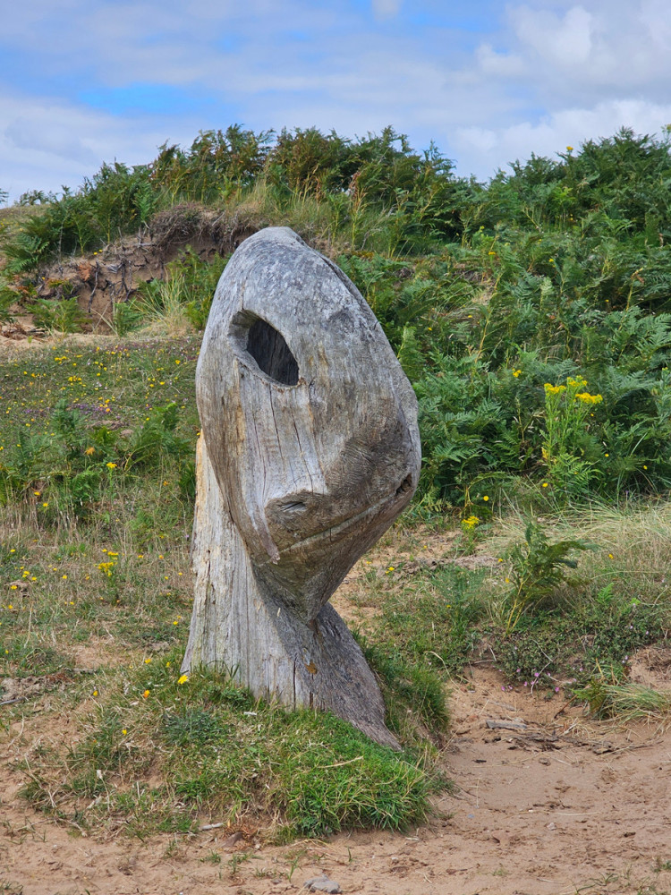 Shared Group Three Cliffs Bay Circular Walk & Gower Peninsula