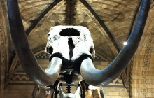 The Great Weekender3