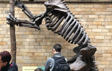 The Great Weekender5