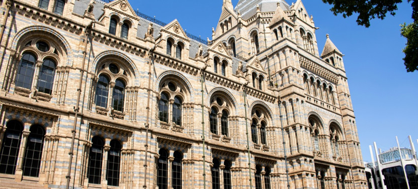 Natural History Museum Guided Tour with Private Option