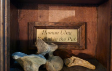 The Great Weekender4