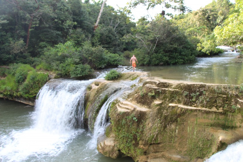 Jungle Explorer