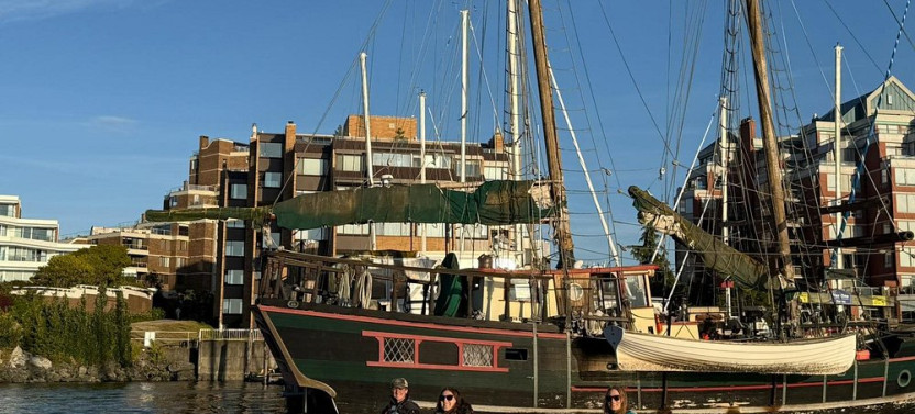 Victoria Harbour Sunset Kayak Tour