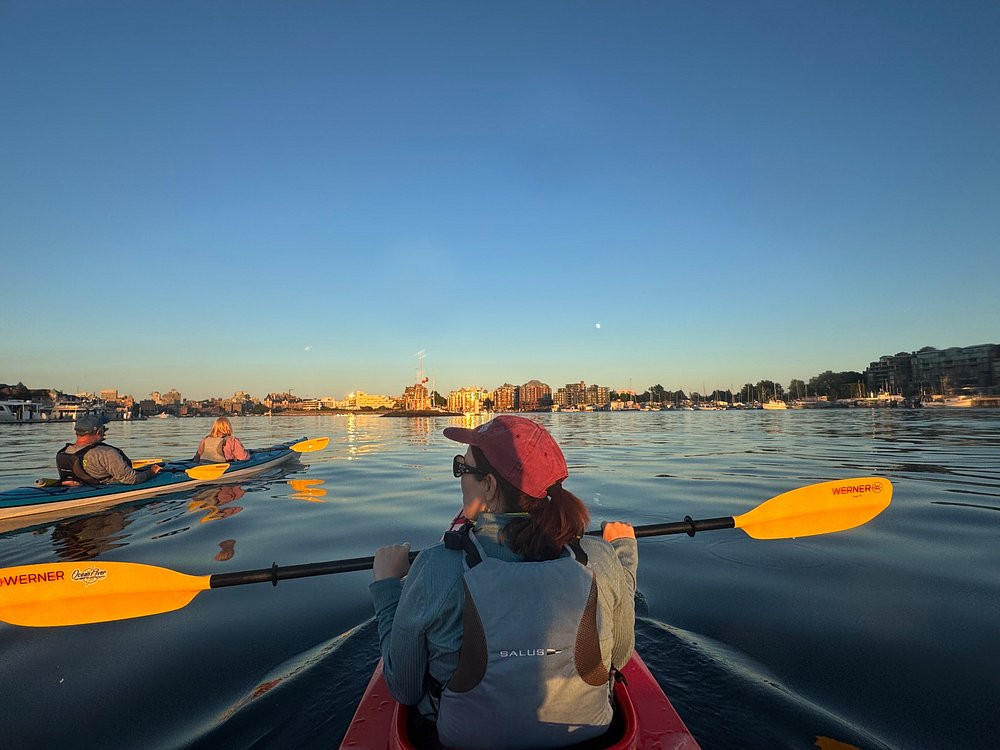 Victoria Harbour Sunset Kayak Tour