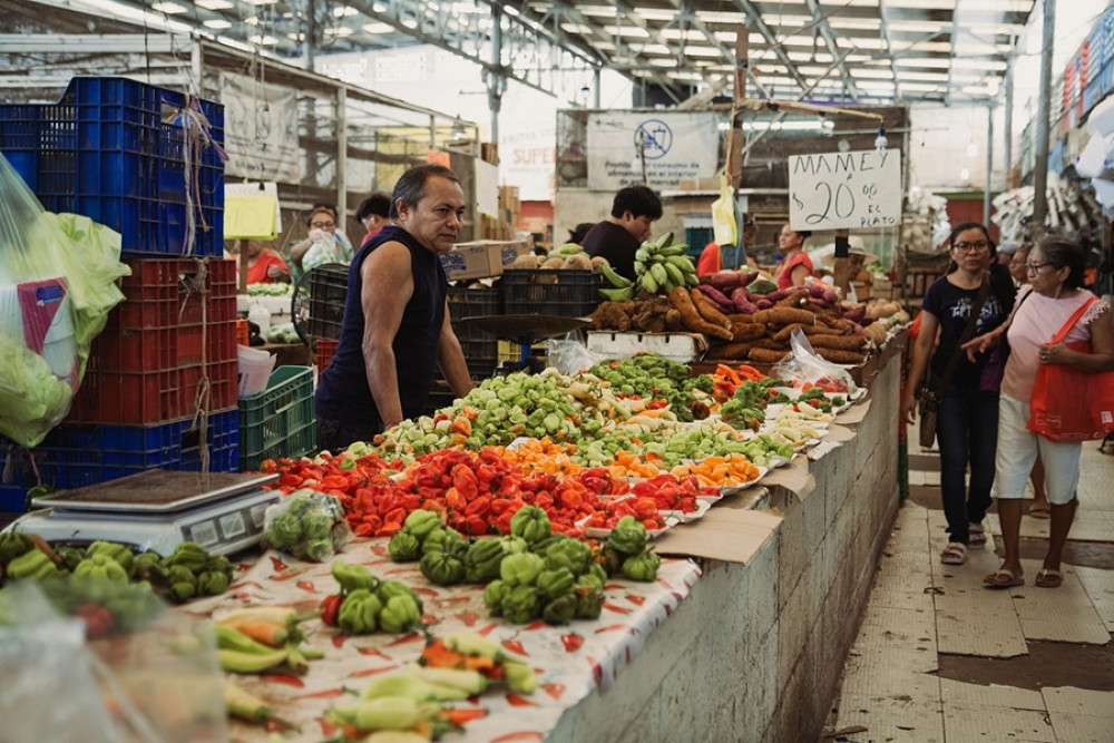 Yucatecan Street Food Walking Tour Through Historic Mérida