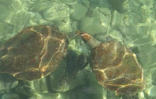 Cleaboat Curacao3