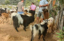 GOCRETESAFARI KAI SIA EE3