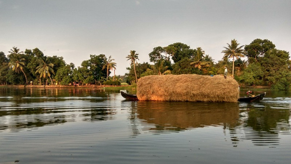 4-Day Kerala Nature & Culture Tour with Munnar & Alleppey Houseboat