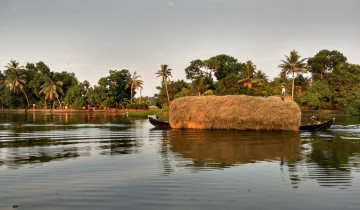 A picture of 4-Day Kerala Nature & Culture Tour with Munnar & Alleppey Houseboat