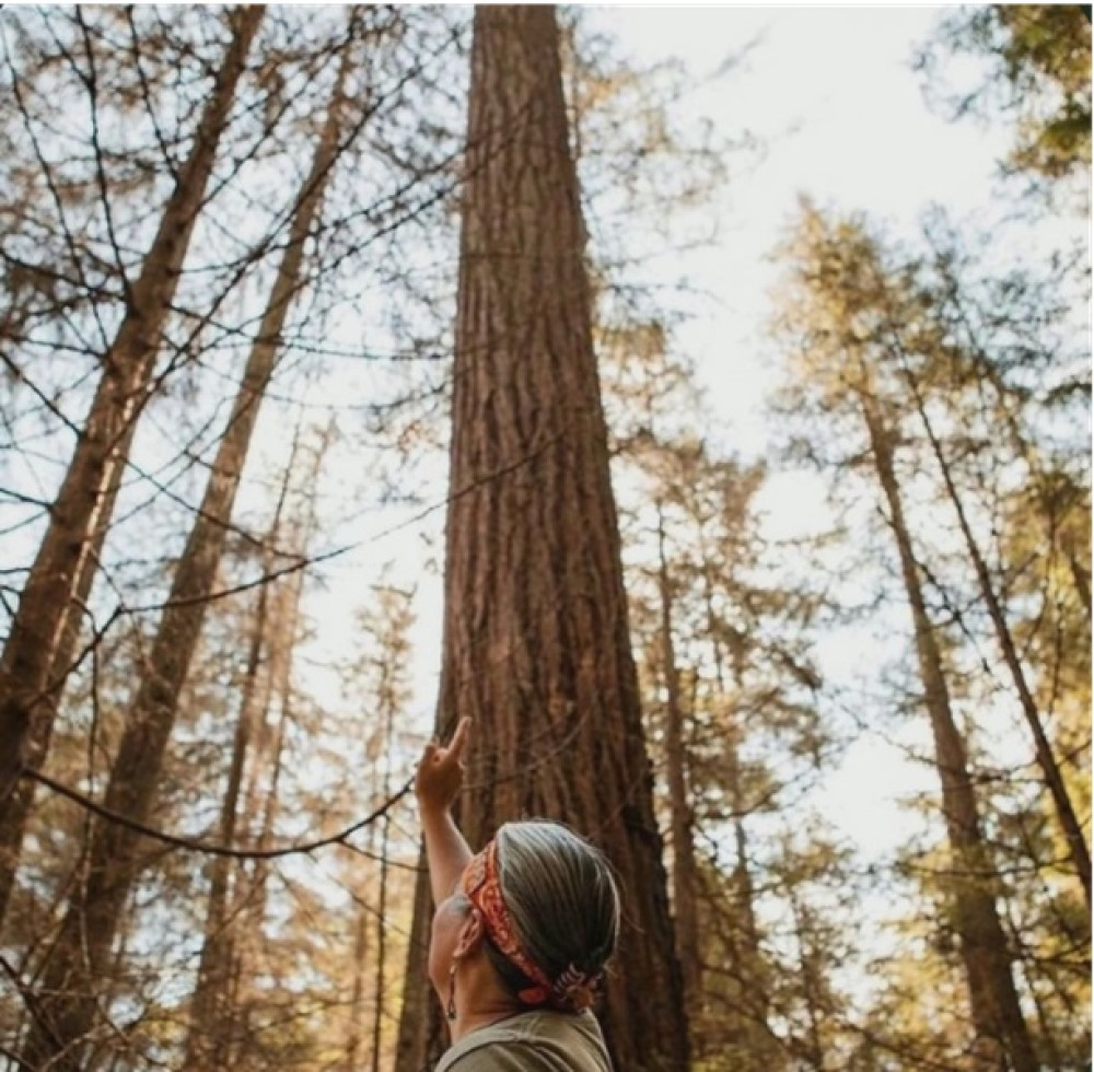 Talking Trees: A Stanley Park Eco Tour