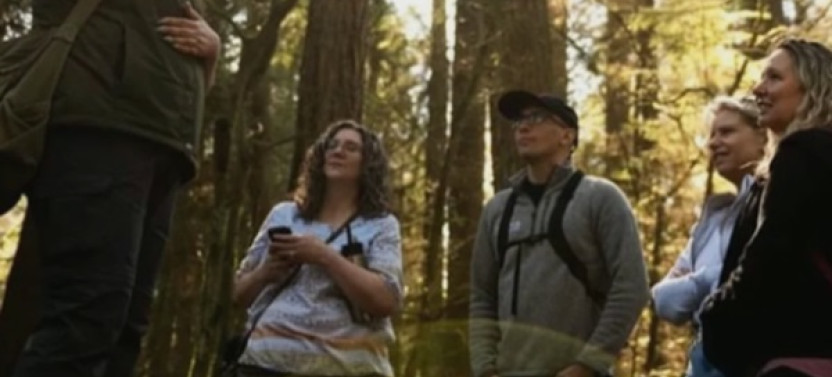 Talking Trees: A Stanley Park Eco Tour