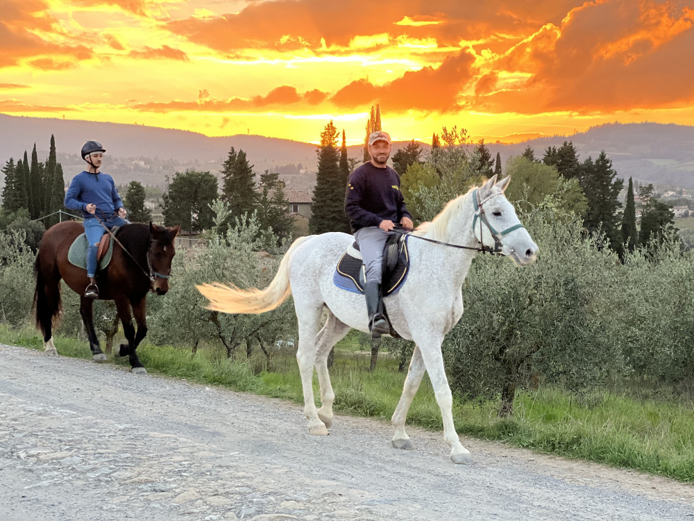 Horseback Riding with Wine Tour from Florence