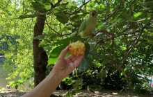 Let Me Show You London6