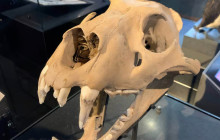 Let Me Show You London12