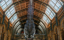 Let Me Show You London11