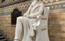 Let Me Show You London10