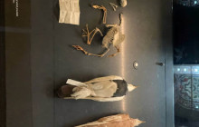 Let Me Show You London9