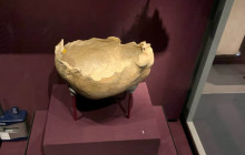 Let Me Show You London5