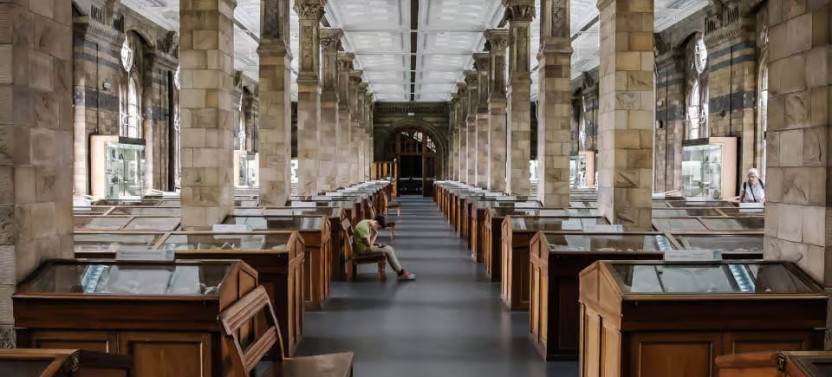 Private Natural History Museum Highlights Tour in London