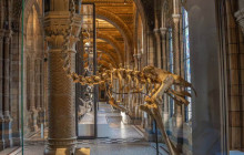 Let Me Show You London1