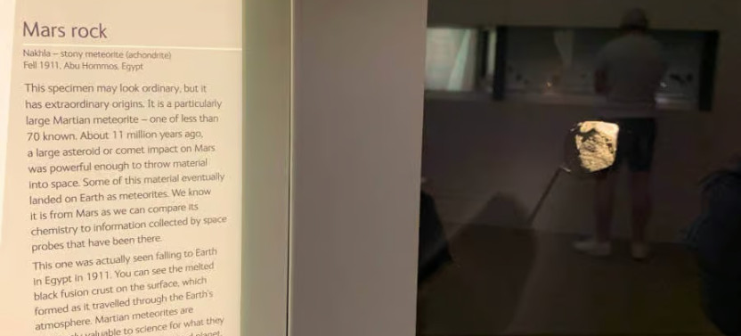 Private Natural History Museum Highlights Tour in London
