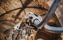 Let Me Show You London13