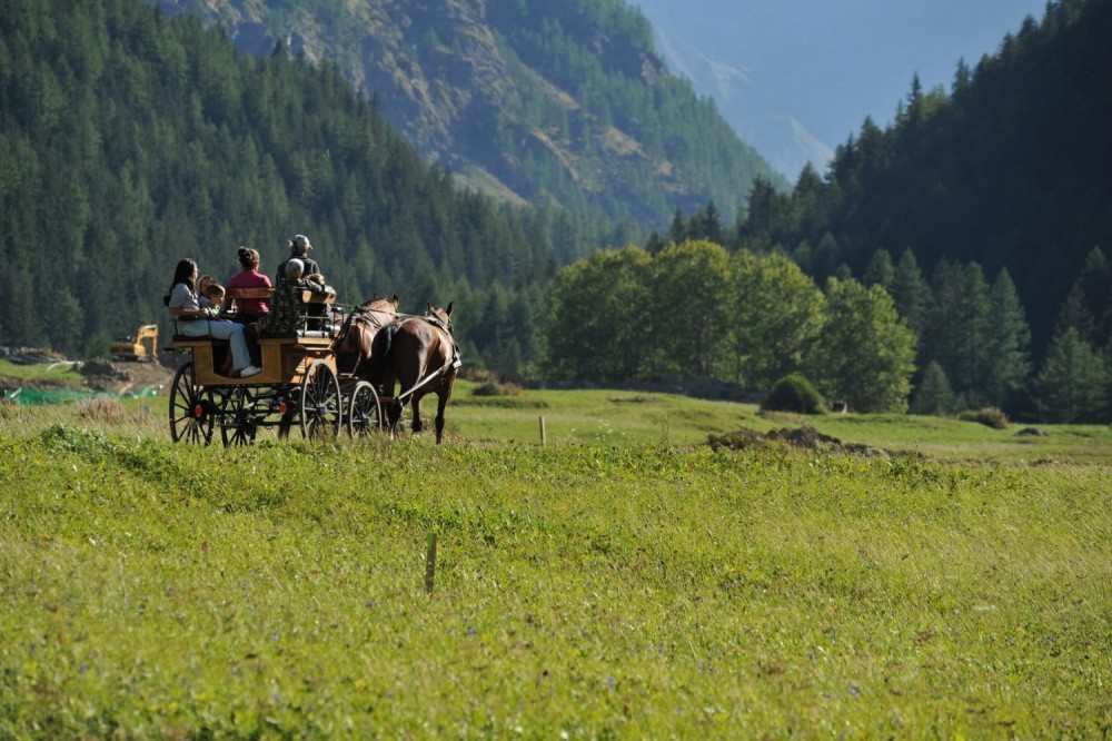 Sleigh or Horse Drawn Carriage Tour in Gran Paradiso Park