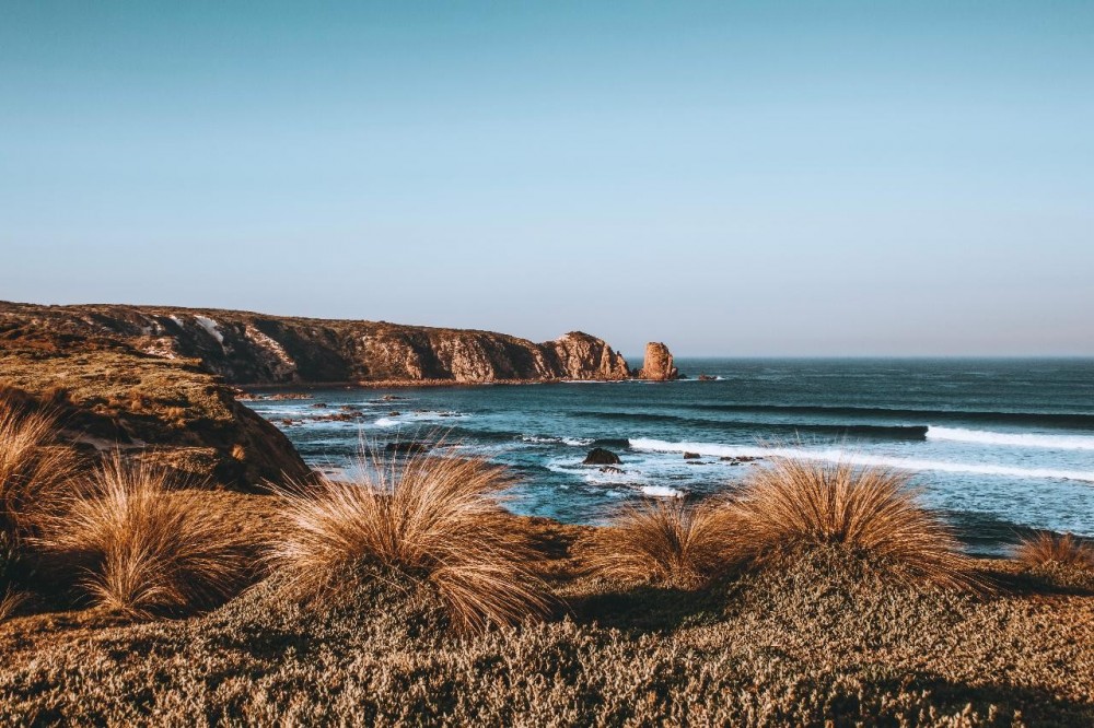 Phillip Island Day Tour - Small Tour - 8 Person Max