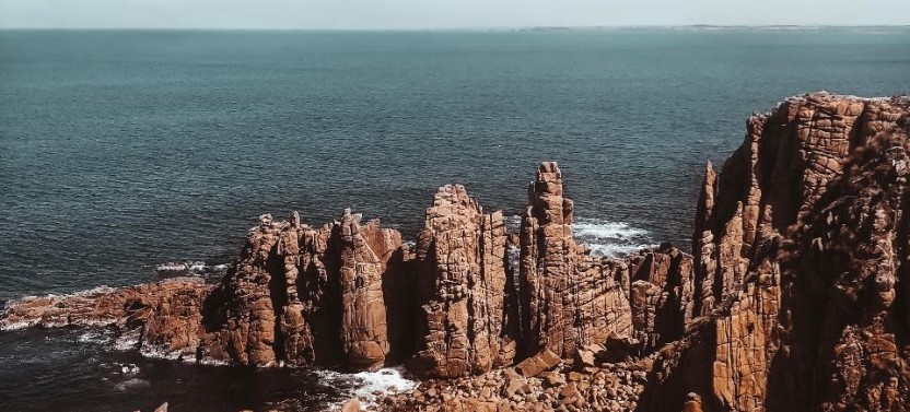 Phillip Island Day Tour - Small Tour (Max 10 Guests)