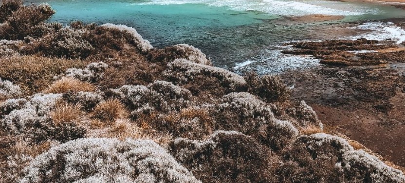 Mornington Peninsula & Hot Springs Tour - Small Group