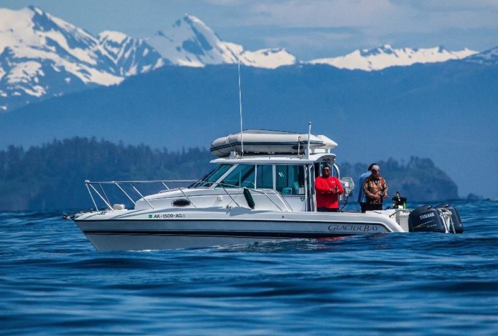 Shore Excursion Sitka Marine Wildlife Tour Sitka Project Expedition