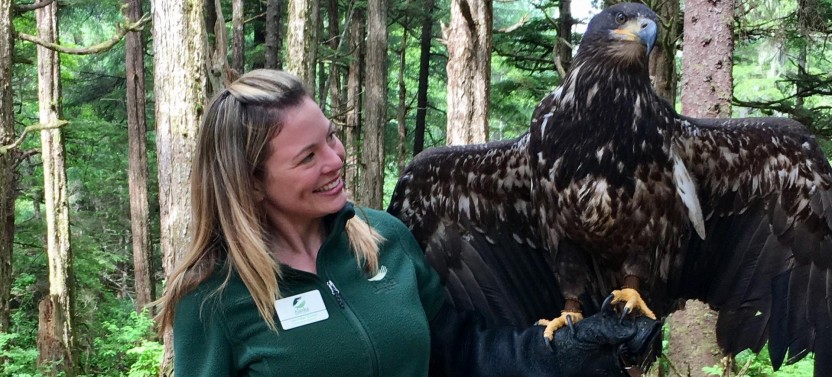 Shore Excursion: Premium Sitka Scenic Tour - Bears, Raptors & Totems