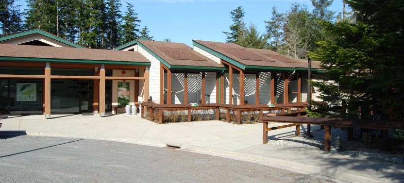 Shore Excursion: Premium Sitka Scenic Tour - Bears, Raptors & Totems